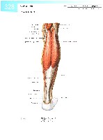 Sobotta  Atlas of Human Anatomy  Trunk, Viscera,Lower Limb Volume2 2006, page 335